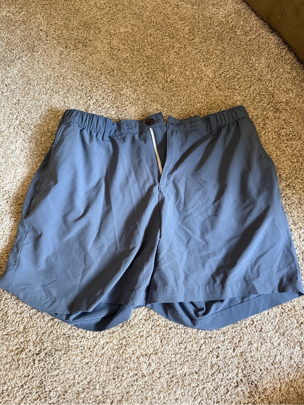 Chubbies Everywhere Shorts